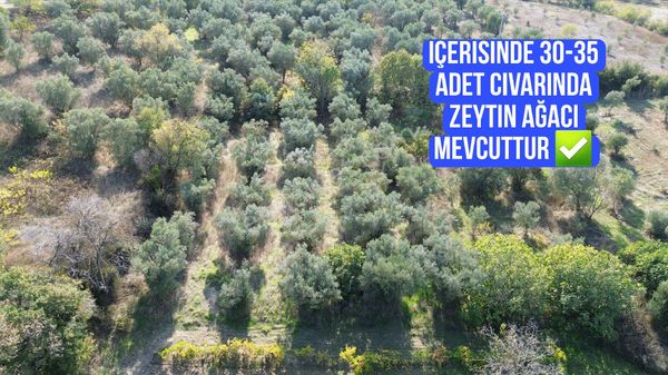 Karacabey Çavuş Köyünde Muhteşem Lokasyonda 1.030 M2 Satılık Bağ