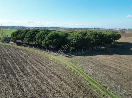 Görgülü Emlaktan Ayvalık Altınova Da Satılık Tarla