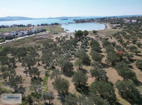 Şakran Gölet Projesine Yakın Satılık Fırsat Arsa