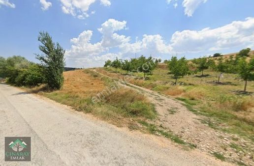 Köy Mücavir Alanında 1100 M2 Bahçe