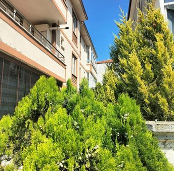 Sakarya Karasuda Mükemmel Konumda Yazlık