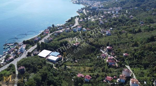 Mabel Gayrimenkul-perşembe Çınar Mah.de Denize Yakın Arsa