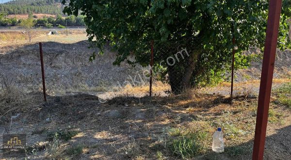 Satılık Hobi Bahçesi / Tarla - Bozkurt / Alikurt