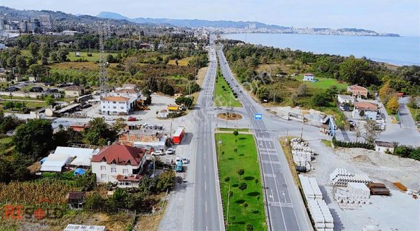 Resold Dan Yatırım Fırsatı! Ordu / Ünye Cevizdere Mahallesi