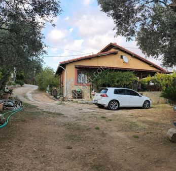 İzmir Menderes Ataköy 2335 M2 Tarla İçinde 4+1 Satılık Villa