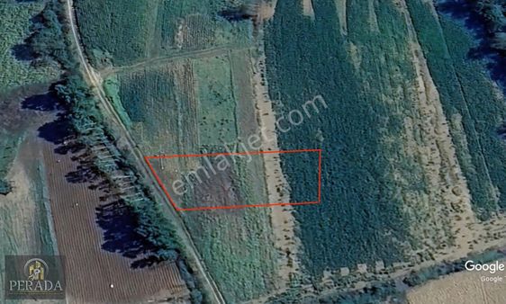 Kandıra Sinanlıbilalı'da 1.016m2 Müstakil Tapulu Firsat Arsa