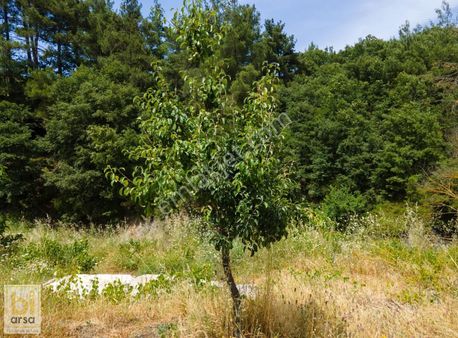 Yenice'nin Yeşil Ve Gölete Yakın Köyünde 324 M² İmarlı Son Arsa