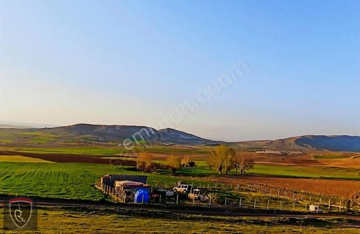 Şabanözü Köy Yakını Yola Sıfır Cepheli Arazi
