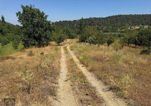 Bayramiç Kazdağları