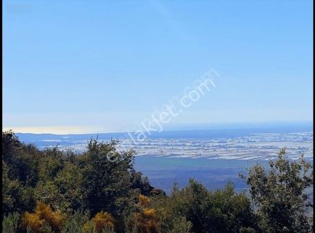 Antalya Kaş Üzümlü Mahallesi'nde Deniz Manzaralı Satılık Arsa.
