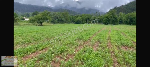Füsun Emlaktan Nifte Köy İçi İmarlı Parselesyon Yapılabilinir