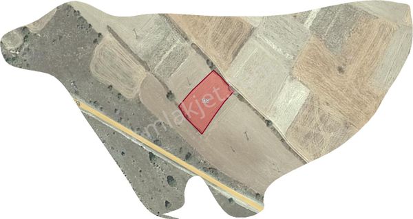 Özpınar ,dan Çavuş Köyü Satılık Tarla 1150 M2 Anayola 400 M Tepecik Yolu 20 M