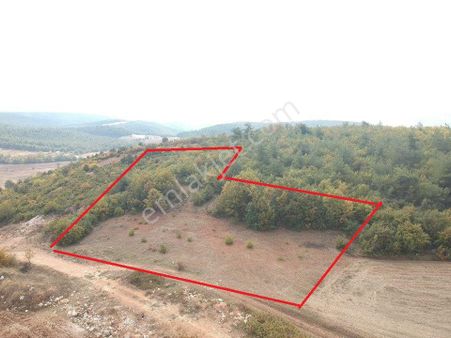Bilecik Gölpazarı Büyüksusuz 2228 M2 Yola Cephe Köy Manzaralı