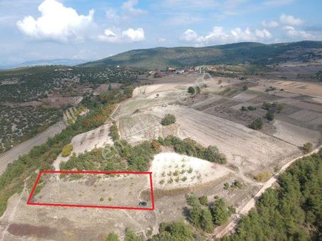 Bilecik Gölpazarı Büyüksusuz 2428 M2 Köy Ve Meyve Bahçeleri Yanı