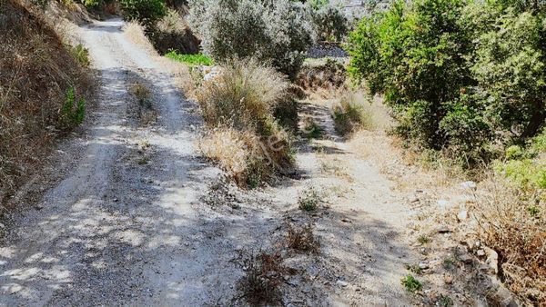 Alanya Toslak Kayabaşında Ruhsatlı 885m2 Satılık Tarla