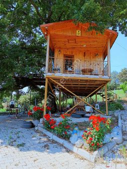 Rw Milyon'dan Satılık Fırsat Tarla Ve Bağ Evi