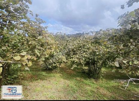 Çileklide Deniz Manzaralı Satılık Arsa