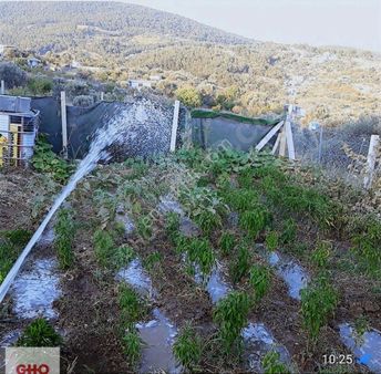 Bornova Nın Kalbinde Huzur Dolu Yaşam