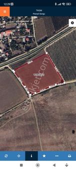 Adana Seyhan Dervişli De Satılık Verimli Arazi