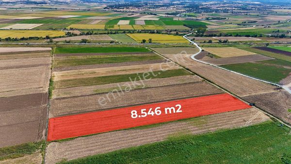 Çanakkale Tevfikiye Köyünde Satılık 8.546 M2 Tarla !