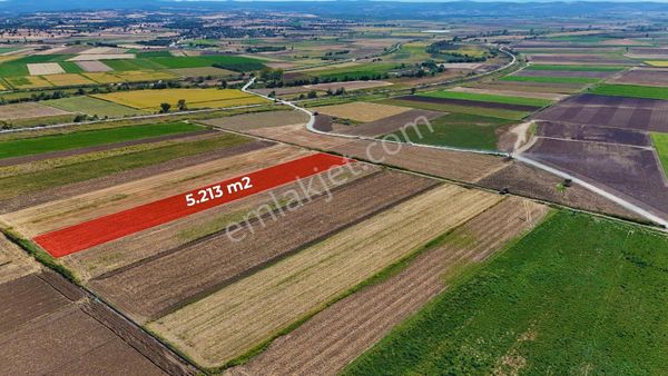 Çanakkale Tevfikiye Köyünde Satılık 5.213 M2 Tarla !