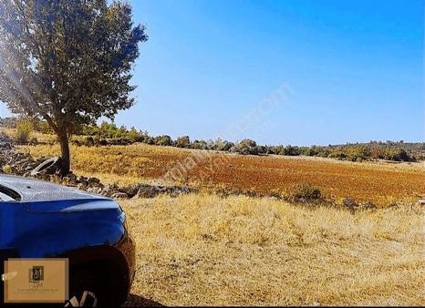 Muğla'ya 5 Dakika Yatırımlık 4.5 Dönüm Arazi Fırsat Fiyata