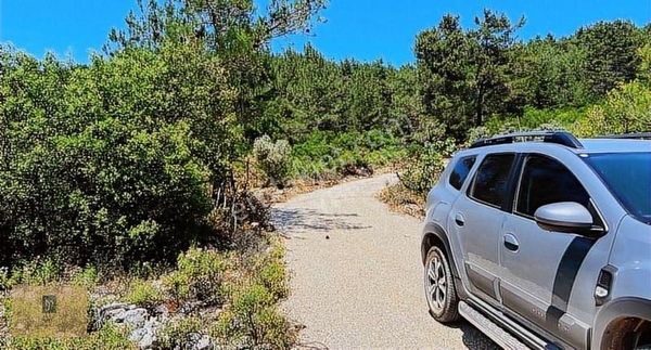 Takasa Açık !! Satılık Fırsat Çiftlik Arazisi 12 Dönüm