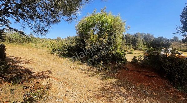 Yerkeşikte İmarlı 5700 M2 Arazi