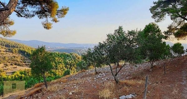 Acil !!! Akçaovada 1.4 Dönüm Fırsat Fiyatlı Satılık Arazi