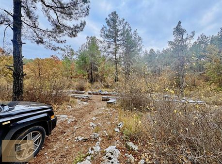 Takasa Açık!! Kuyucakta 1 Dönüm Fırsat Arazimiz Satılıktır.