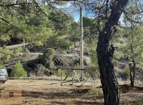 Muğla Menteşe'ye 7km,hobi Bahçesi Yatırım Fırsatı