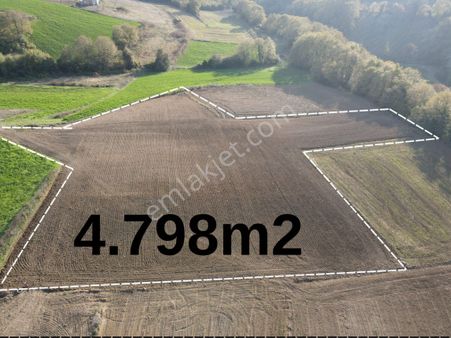 Kandıra Kanatlar Da 4799 M2 Çok Uygun Fiyata Tarla