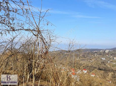 Türkelli Köyünde Deniz Manzaralı 1.720 M2 Ev Yeri Hazır Fırsat!