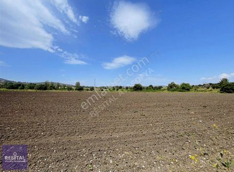 Bursa Nilüfer Çatalağıl Mah Uygun Fiyat Satılık 11.600 M2 Tarla