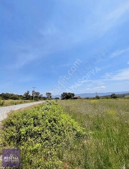 Nilüfer Çatalağıl Tosab Yolu Üzeri 21450 M2 Satılık Tarla