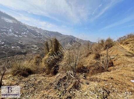 Başarı'dan Yeğenli Köyünde Çift Tapulu 5 Dönüm Yatırımlık Arazi