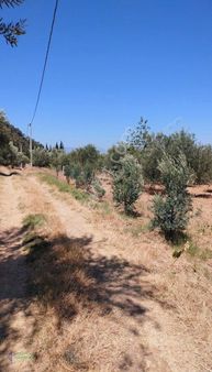 Manisa Ahmetli'de Satılık 2.187 M² Arazi