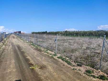 Dıalog İdealden Nilüfer Çatalağılda Satılık Hobi Bahçesi