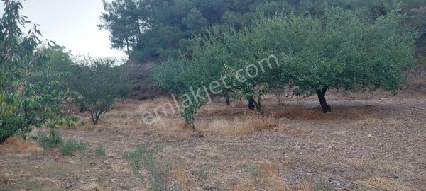 İnan Emlak Gayrimenkulden Bozkırda Satılık Tarla