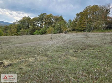 İzmit Nebihoca Mahallesinde Satılık 2.994 M² Müstakil Tarla