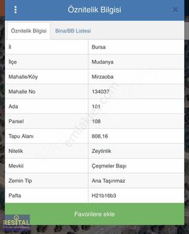 Resital Vizyon Dan Mirzaoba Da 800m2