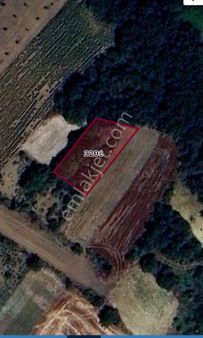 Tekirdağ Süleymanpaşa Karacakılavuz Mahallesinde Satılık Bağ.