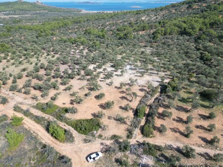 Cunda Adasında Satılık Denız Manzaralı Zeytinlik