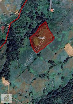 Truvadan Atakum Kurugökçe'de 9917 M² Satılık Tarla