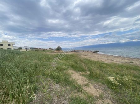 Balıkesir Burhaniye Pelitköy De Satılık 2,281 Metre Kare Villa İmarlı Arsa.