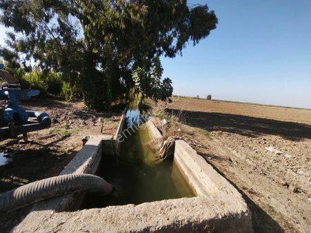 Çukurovanın Kalbinde Kupon Tarla