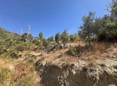 Satılık 1.000 M2 Deniz Ve Doğa Manzaralı Fırsat Tarla