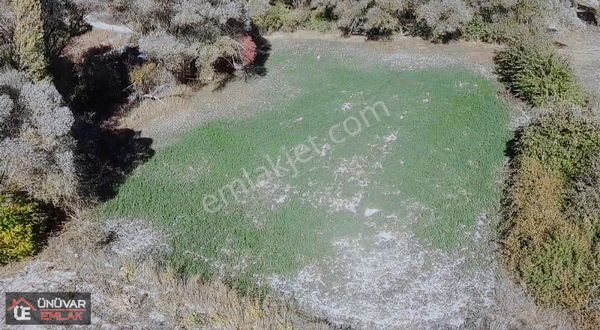 Ünüvar Emlaktan Gündoğdu Mh Acill Satılık Hesaplı Bahçelik Tarla