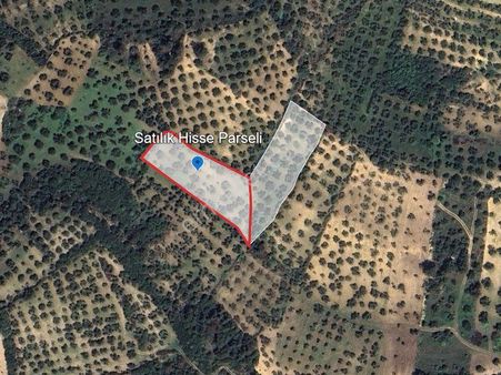 İzmir Aliağa Barbaros Hayrettin Paşa Mahallesinde Satılık Tarla