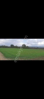 Deydinler Mahallesinde İmar Dibi Fırsat Tarlam